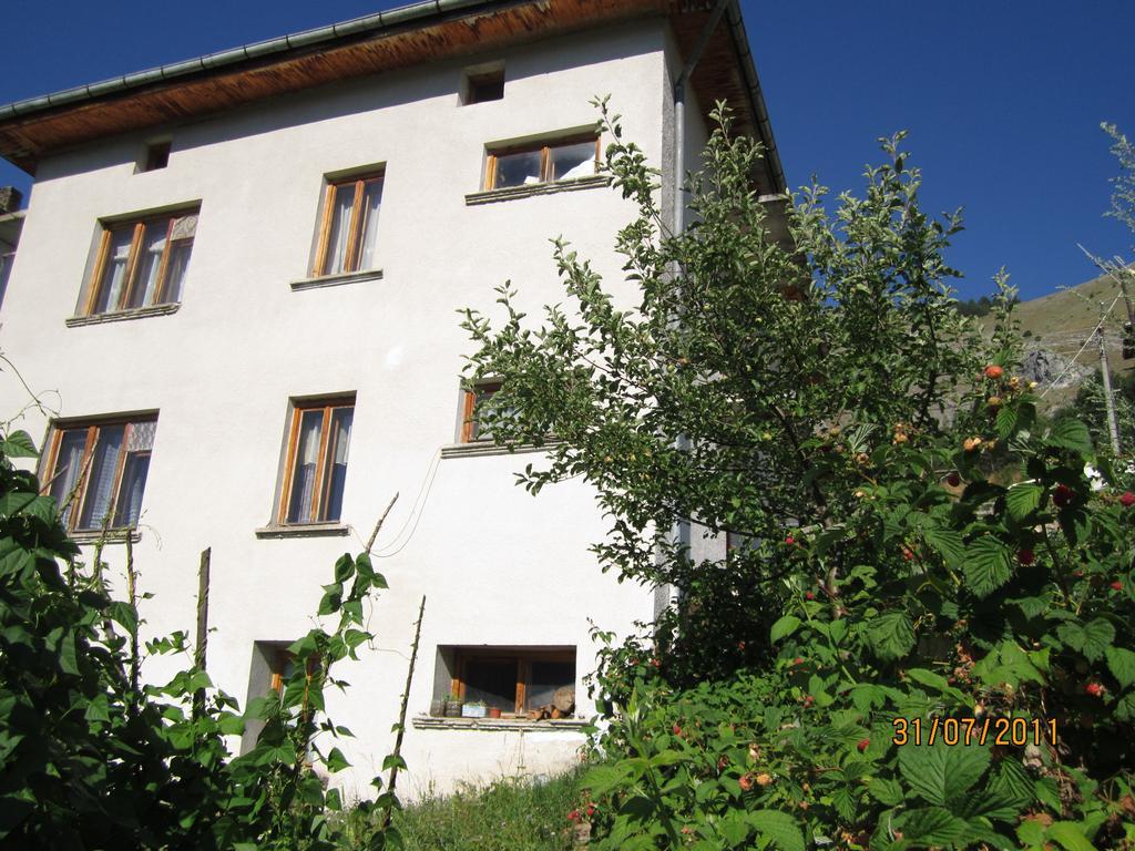 Kristal Guest House Trigrad Exterior photo